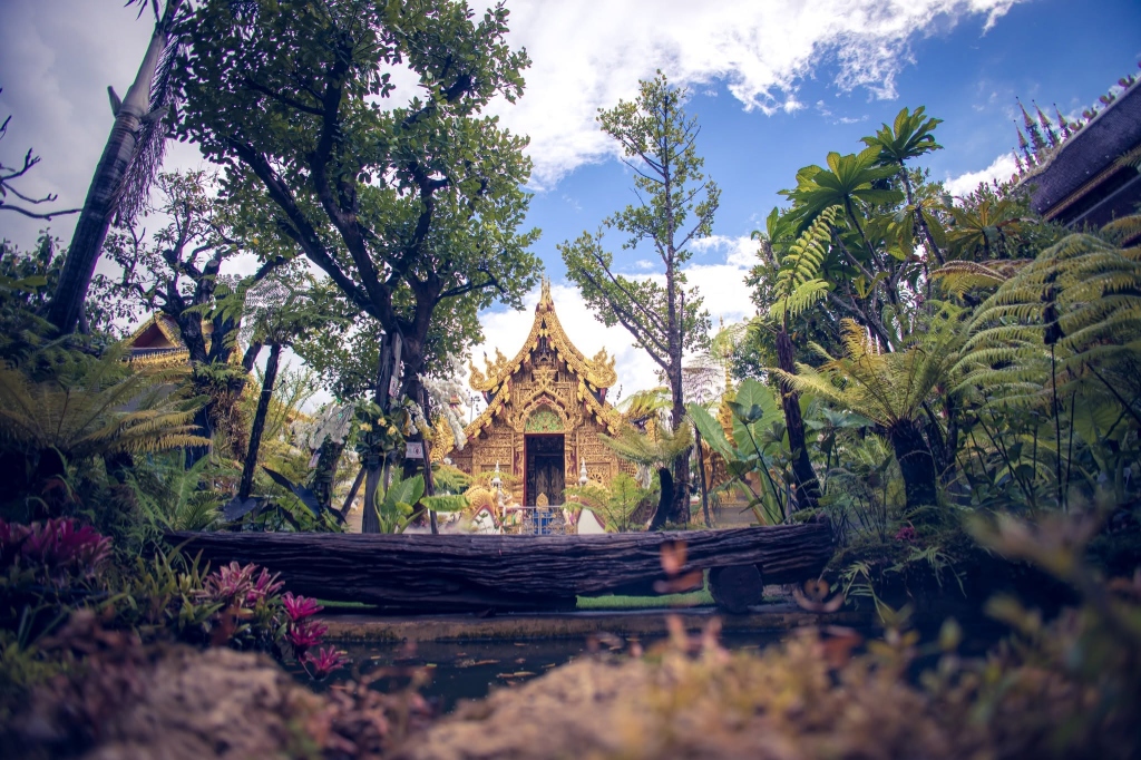ทัศนียภาพสวนป่าหิมพานต์อันเขียวขจีบนยอดม่อนแสงแก้ว
