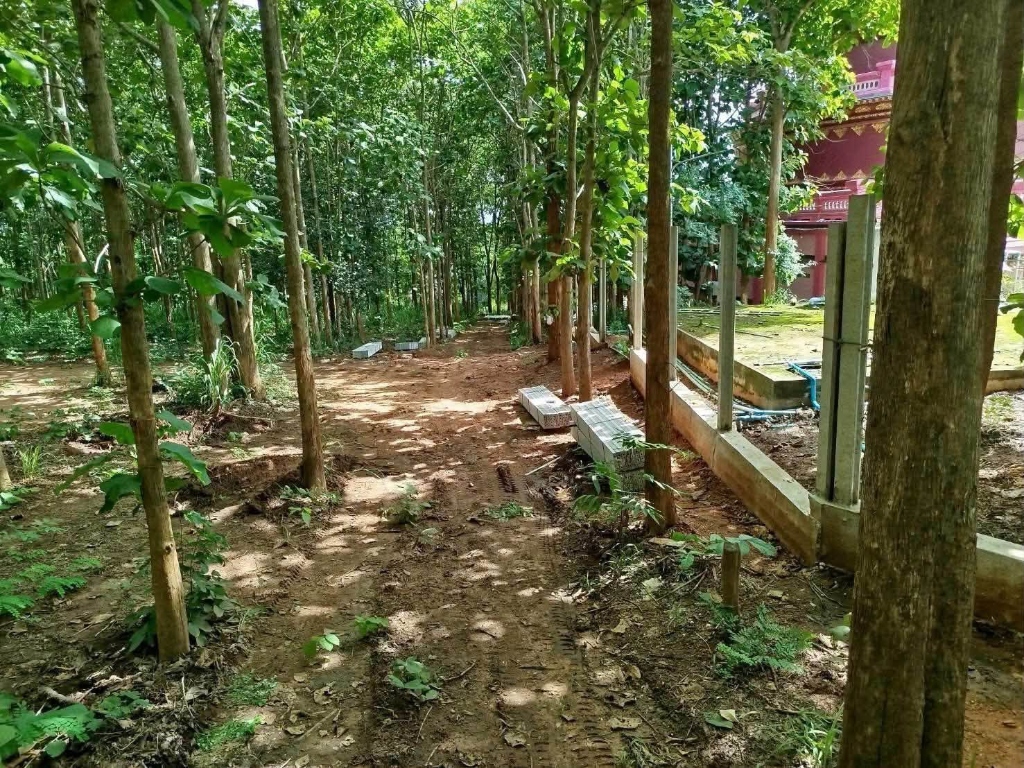 แนวรั้วทอดยาวผ่านพื้นที่ป่าสักและทัศนียภาพอันร่มรื่นของวัดแสงแก้วโพธิญาณ